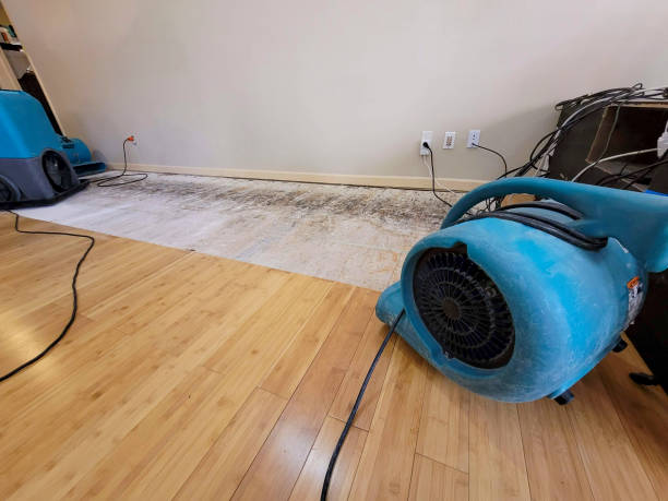 Professional Flood Damage Cleanup technician working in Marshall, TX